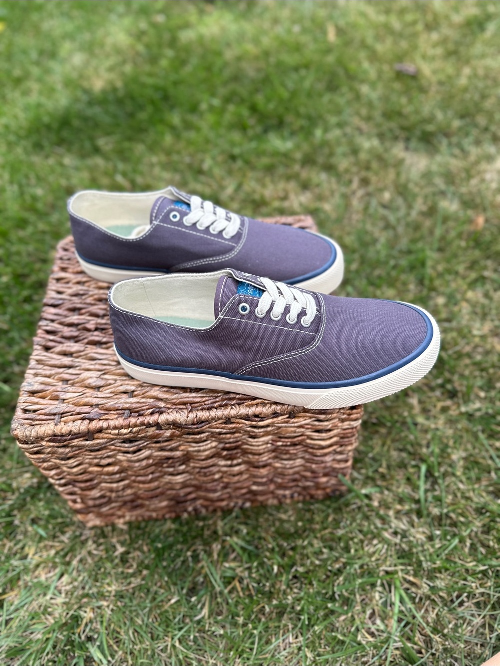 SPERRY Classic CVO. Canvas Low-Top Sneakers in Durable Navy
